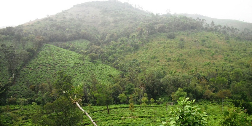 Hill covered in green vegetation in Kerala - Chellarkovil Waterfalls in Kerala