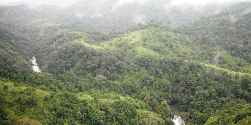 The Silent Valley National Park- one of the heritage rich places to visit in Kerala