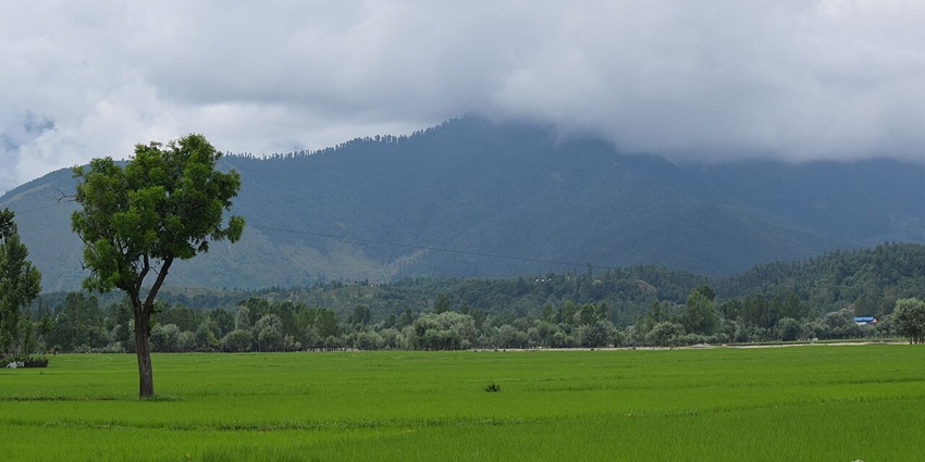 Verdant Lolab Valley in Kupwara with lush meadows, pine forests, and distant hills