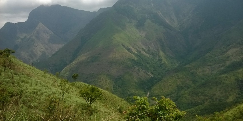 Kurangini, en route to Meesapulimala trek through the enchanting aromatic tea estate