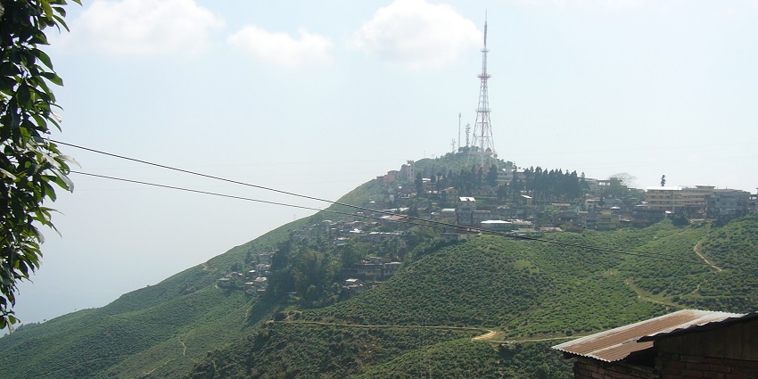 Scenic view of Kurseong in Darjeeling, with rolling hills, tea plantations and clear sky.