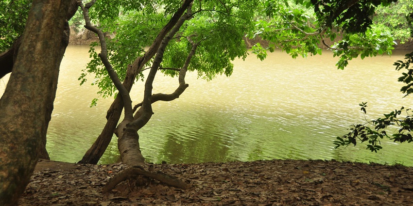 Scenic boat ride to protect the island - Best places to visit near Sulthan Bathery