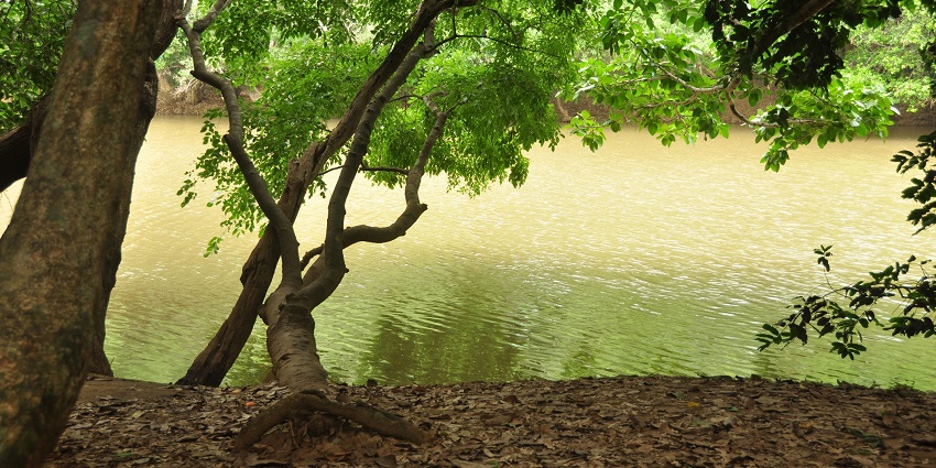 The Kabini River in Kuruva Islands, Wayanad has a protected river delta of 950 acres