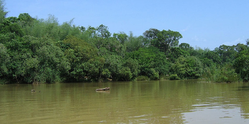A view of Kuruva Island from a boat