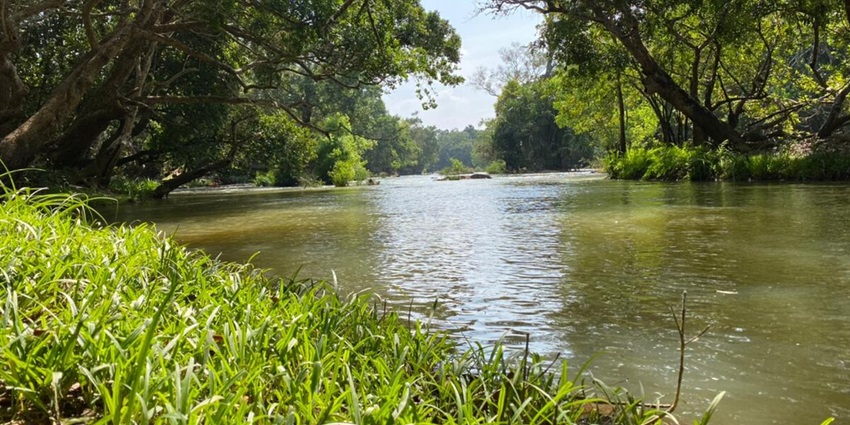 Stream of Kabini river flowing through the mangroves looming over on the Kuruva Island