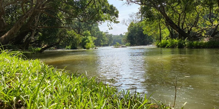 Islands in Kerala having wild animals