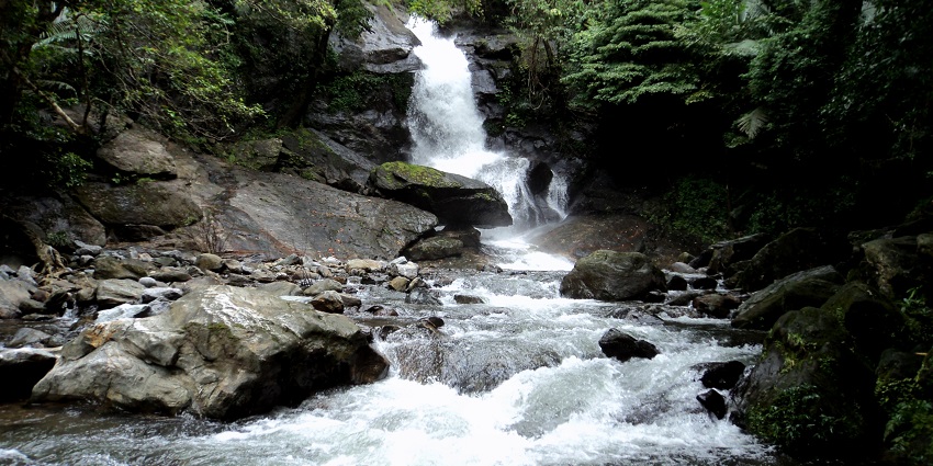 One of the picturesque spots, Kuthumkal Waterfalls attracts tourists well towards it.