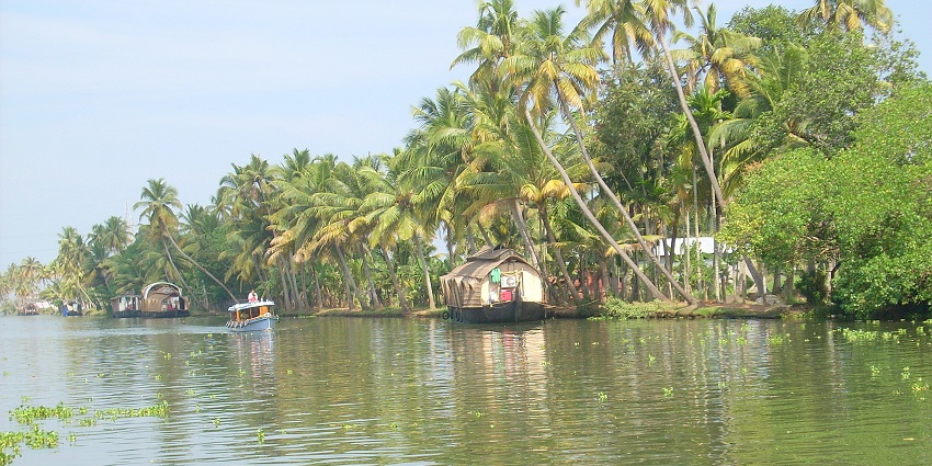 Palm trees looming over the Kuttanad, a serene place to visit near International coir museum