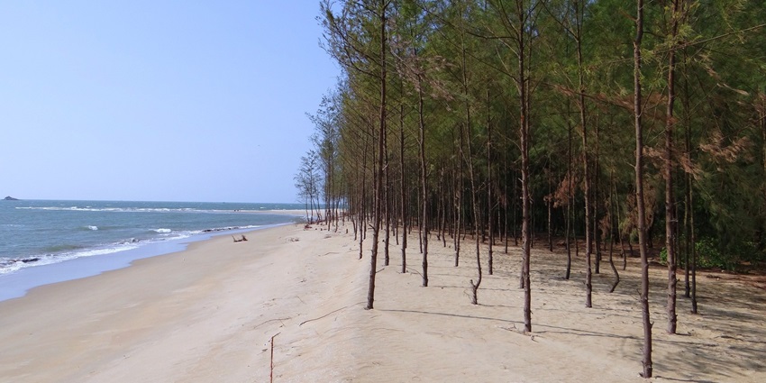 Enjoy scuba diving at Kuzhupilly Beach, Kochi, with scenic views and vibrant marine life.