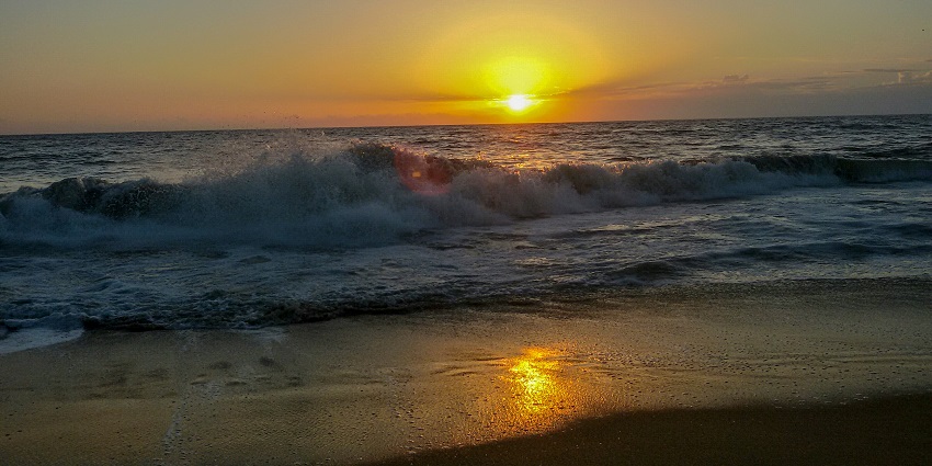 Kuzhupilly Beach is considered one of the top 5 beaches near Ernakulam due to its white shores