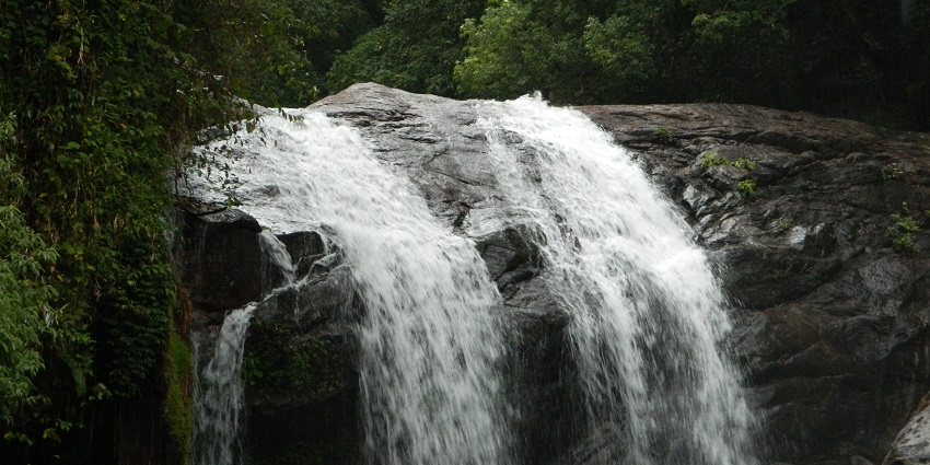 A fantastic view of Lakkam Waterfalls in Eravikulam National Park surrounded by greenery.