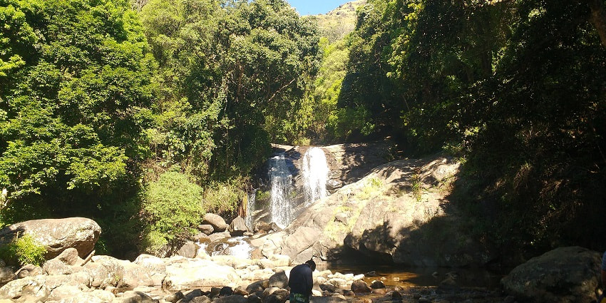 Explore these waterfalls in Munnar that are surrounded by stunning natural greenery.
