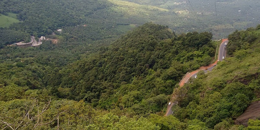 Stroll through the misty hills of Lakkidi for a remarkable experience in Kerala.