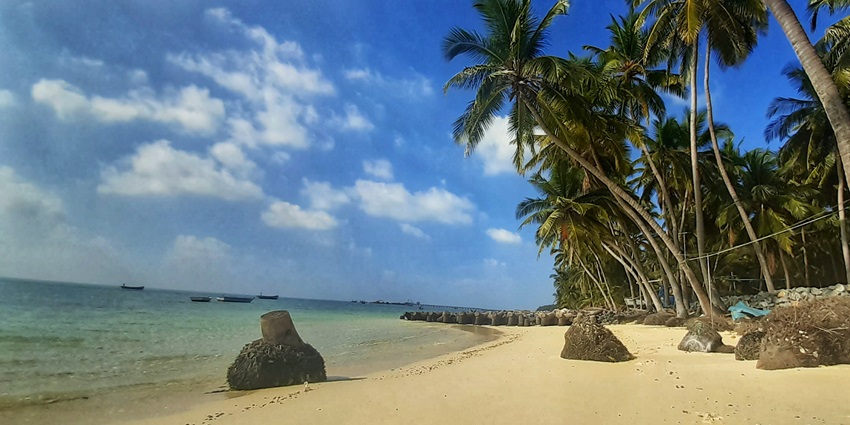 A picture of a beach on Lakshadweep Island with views of the turquoise waters and pine trees