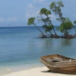 Lamiya Bay Beach is a gorgeous beach in Andaman that is known for its palm-fringed shoreline