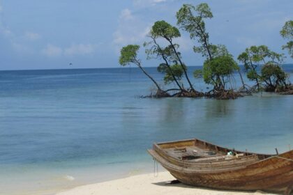 Lamiya Bay Beach is a gorgeous beach in Andaman that is known for its palm-fringed shoreline