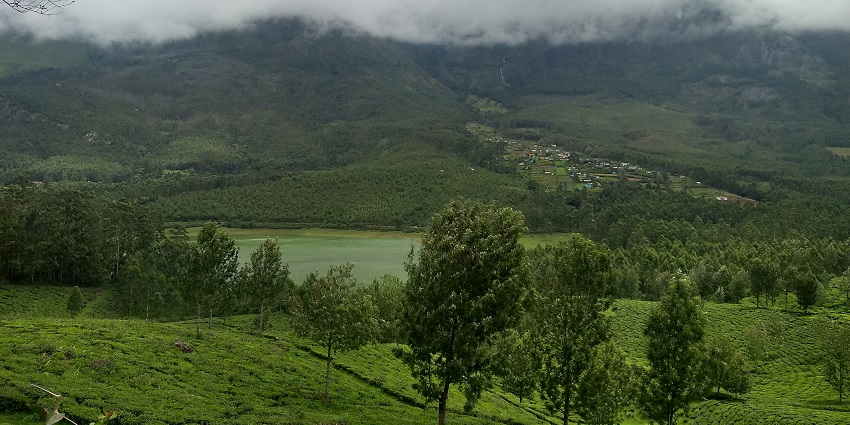 Verdant landscapes of Munnar- one of the most renowned and visited hill station in Kerala