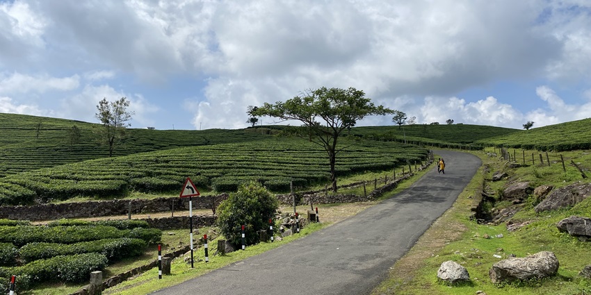 Vagamon hills offers the most adventurous activities in all hill stations near Varkala