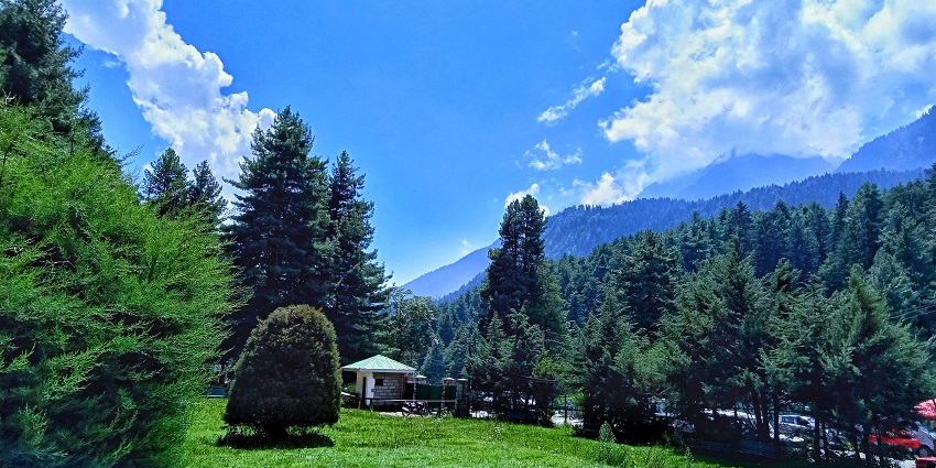 A beautiful view of the lavender park with lush green trees around. Anantnag in Kashmir.