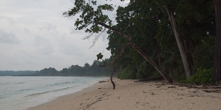 Exploring the corals of Laxmanpur beach is one of the things to do in Neil Island