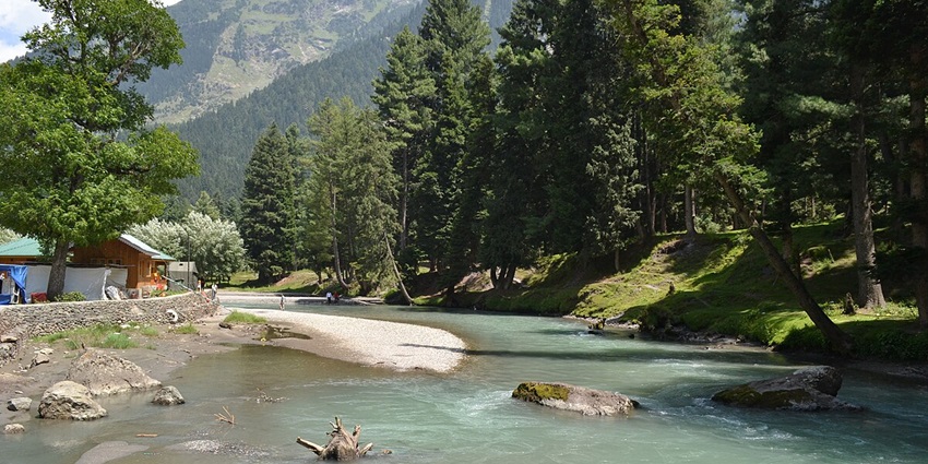 To enjoy trekking in Kashmir, then trek through the dense forest of Lidder Valley.