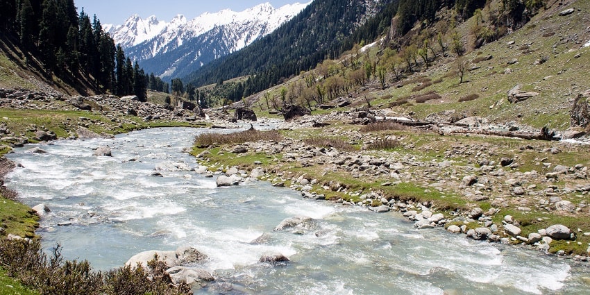 For a delightful experience, choose to trek through the Lidder River around Pahalgam.