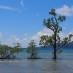 Enjoy yourself amidst the magical waves while on a tour to Little Andaman Island.