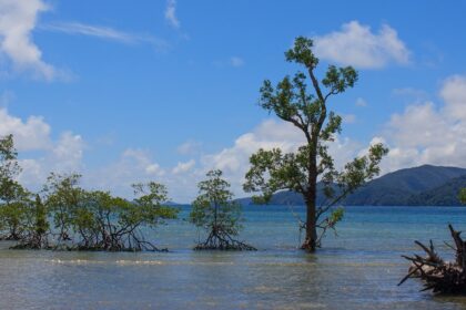 Enjoy yourself amidst the magical waves while on a tour to Little Andaman Island.