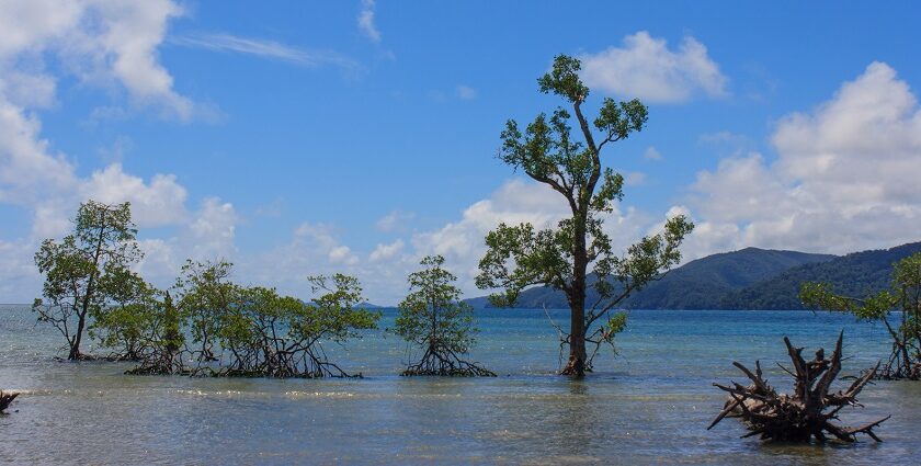 Enjoy yourself amidst the magical waves while on a tour to Little Andaman Island.