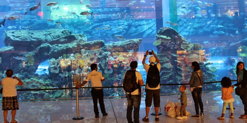 See one of the largest and most magnificent aquariums, with over 33,000 animals.