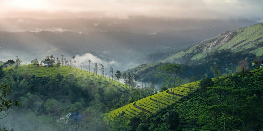 Light spreads like a golden cover on the picturesque landscape during sunrise, presenting a stunning view.