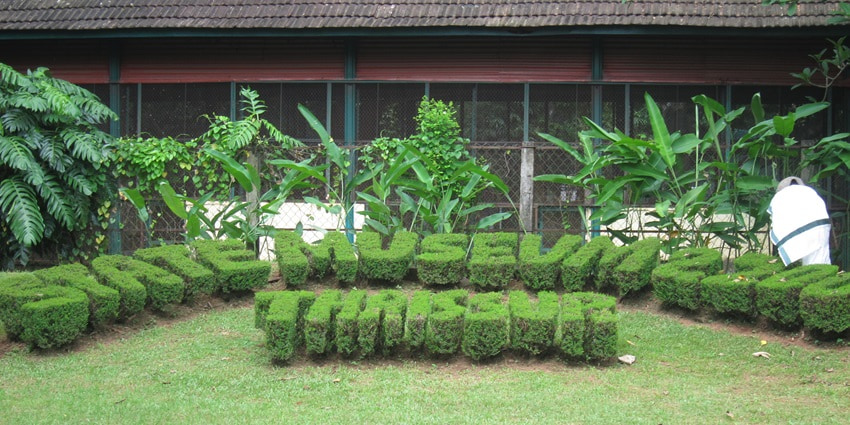 The view of the courtyard of this famous historical place, located in Puthur, Thrissur.