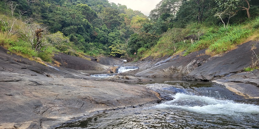 A mesmerising view of Kozhippara Falls encircled by lush trees flowing through a stream.