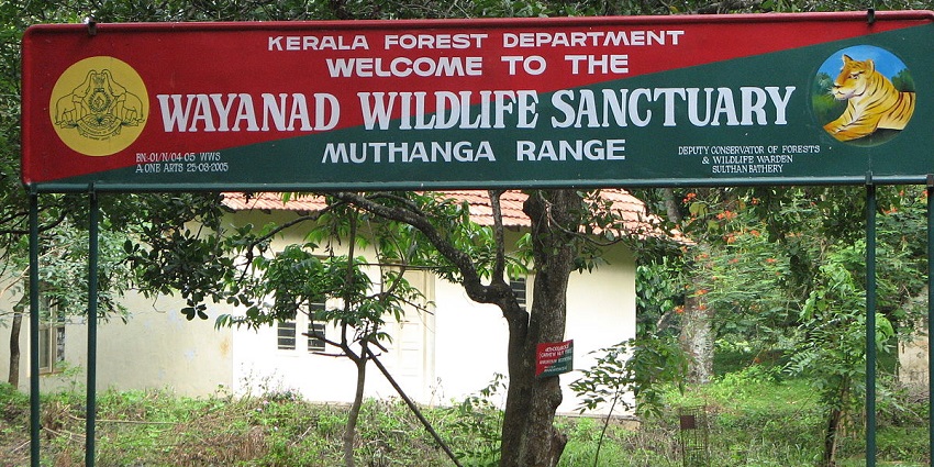 Here is the Wayanad Wildlife Sanctuary that is meant to introduce you to the wilderness.