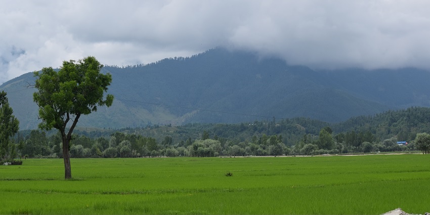 Lolab Valley, one of the offbeat places in Kashmir to make your trip a memorable one.