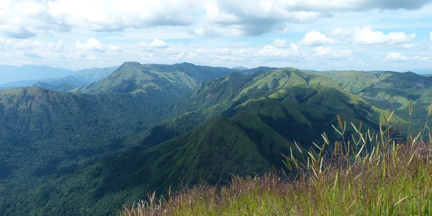 Navigate through the lush environments of Shola Forests while exploring Anamudi Park.