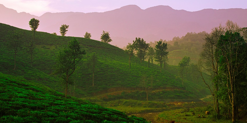 One of the best places to visit in Kerala in October is Wayanad to relish scenic vistas.
