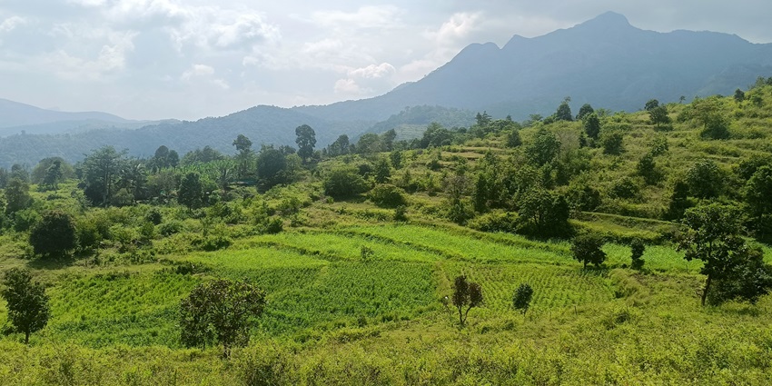 Gear up for a fascinating cultural experience while exploring the beautiful Attappadi.