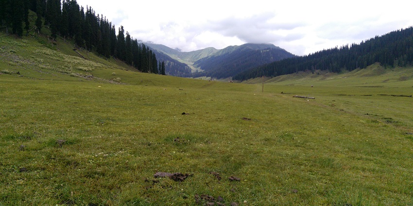 Stroll through the lush landscape of Bungus Valley in Kashmir for picturesque views.