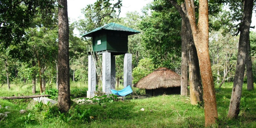 Stroll through the lush galleries in Muthanga Wildlife Sanctuary for a relaxing retreat.