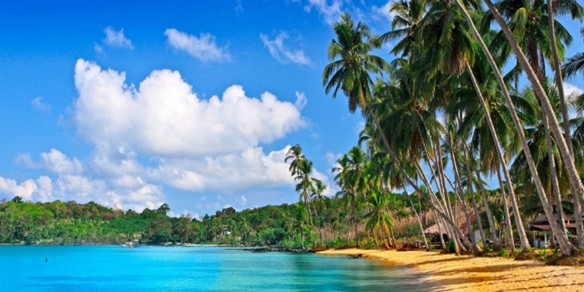 Madhuban Beach is ideal for nature lovers with its rare species of butterflies & birds