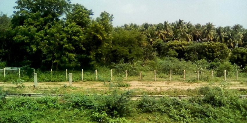 Once the gem of the Pallava dynasty discover Madurai city - Places to visit near Kerala