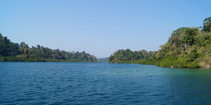 Spot exotic bird species on your visit to Mahatma Gandhi Marine National Park.