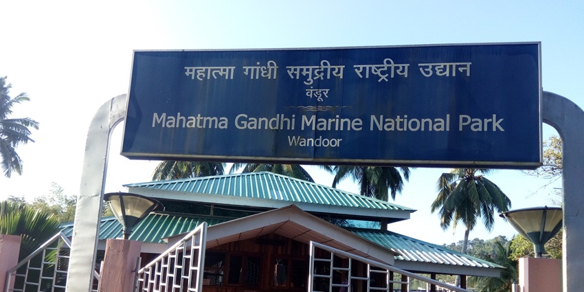Explore the variety of endangered marine species at the Mahatma Gandhi National Park.