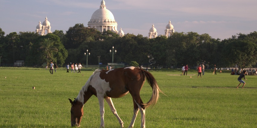 Image of Kolkata Maidan view - one of the best places to visit nearby the museum