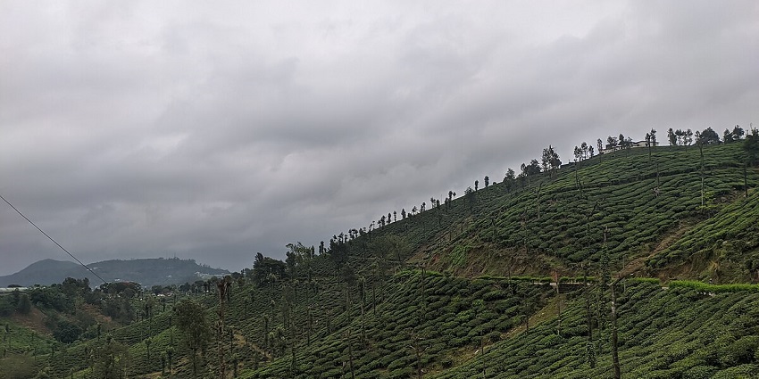 Malakkappara is laden with emerald green slopes of tea plantations and landscapes