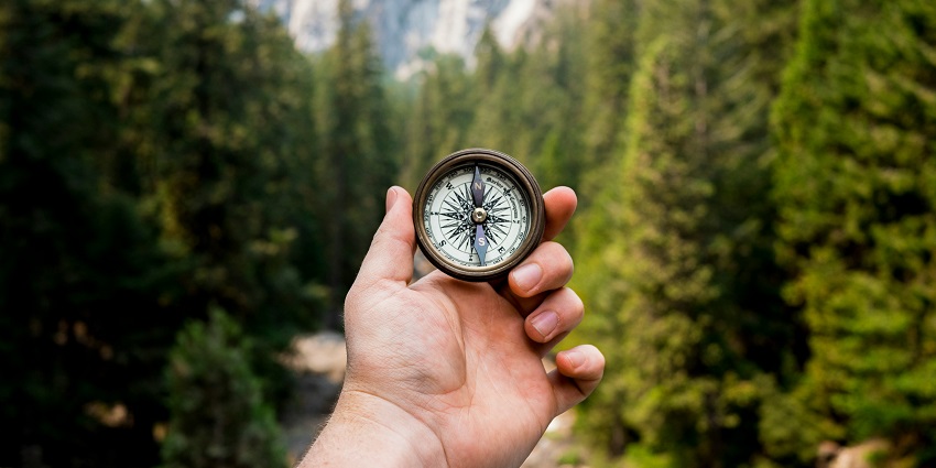 A view of a man holding a compass against the backdrop of lush green trees during the day.