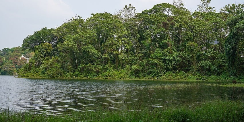 View of the Malankara Reservoir with lush green trees and cloudy sky in the background