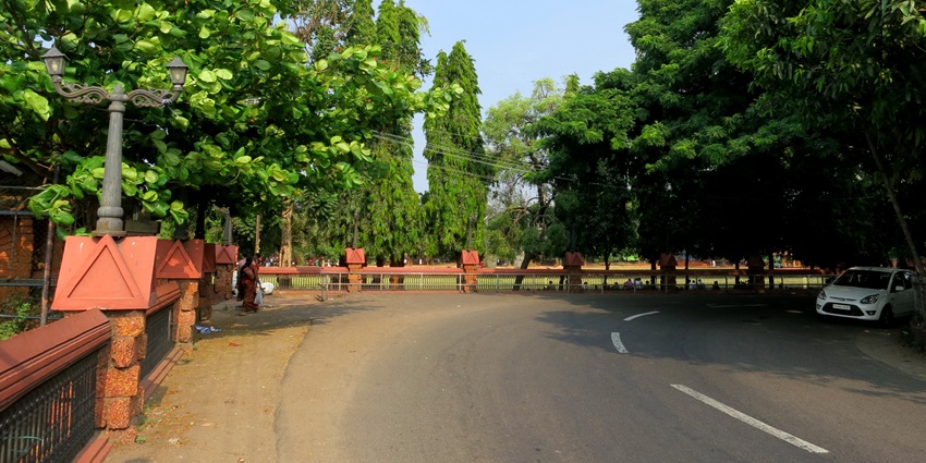 A beautiful daytime view of a road in Mananchira with lush green trees on the roadside