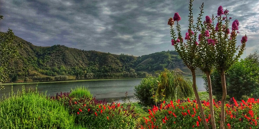 Flowers, green mountains and blue water - one of the best places to visit in Srinagar in December.